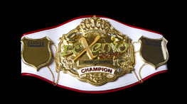 Финал Boxcino 2014: Петров-Каркамо (ESPN2)