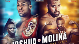 Джошуа-Молина, Уайт-Чисора (Sky Sports)