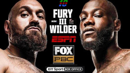 Фьюри-Уайлдер 3 (Рен-ТВ)