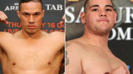 Паркер-Руис