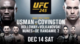 UFC 245: Усман-Ковингтон, Холлоуэй-Волкановски, Мораес-Алдо, Ян-Фейбер