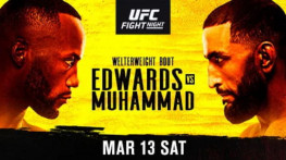 UFC Fight Night 187: Эдвардс-Мохаммед, Циркунов-Спанн