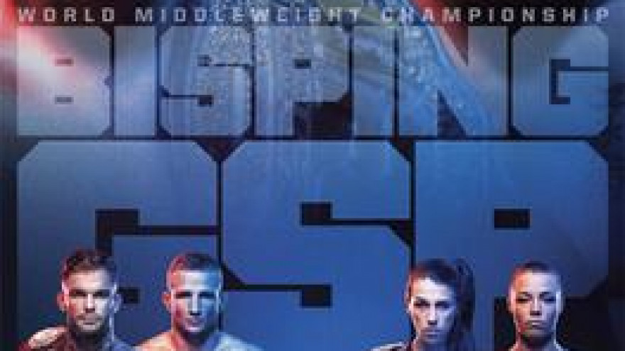 UFC 217: Биспинг-Ст.Пьер, Гарбрандт-Диллашоу (Матч ТВ)